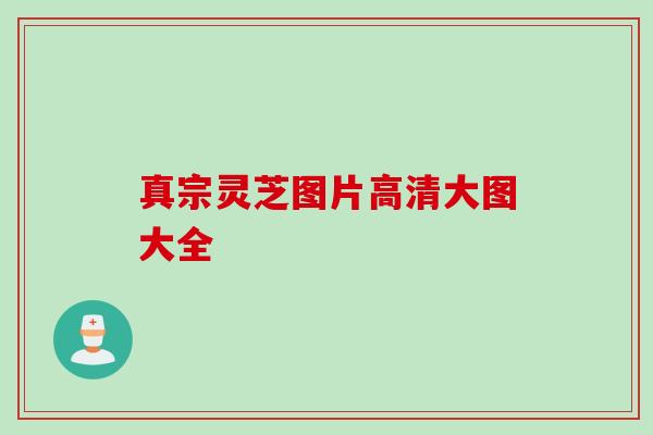 真宗灵芝图片高清大图大全