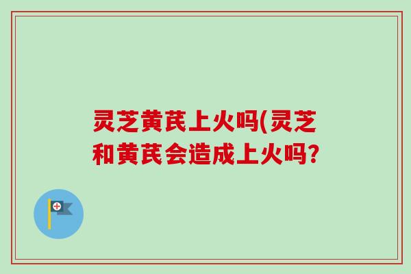 灵芝黄芪上火吗(灵芝和黄芪会造成上火吗？