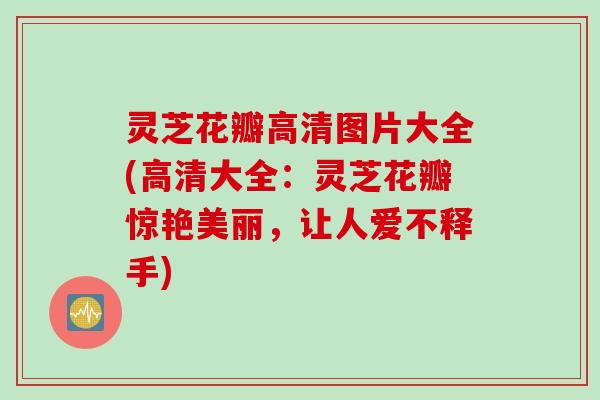 灵芝花瓣高清图片大全(高清大全:灵芝花瓣惊艳美丽,让人爱不释手) 灵芝花瓣高清图片大全(高清大全:灵芝花瓣惊艳美丽,让人爱不释手)