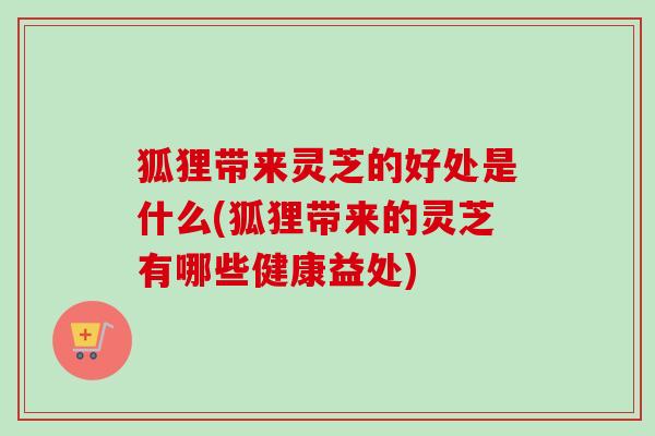 狐狸带来灵芝的好处是什么(狐狸带来的灵芝有哪些健康益处)