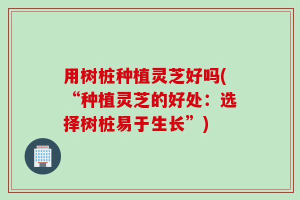用树桩种植灵芝好吗(“种植灵芝的好处：选择树桩易于生长”)