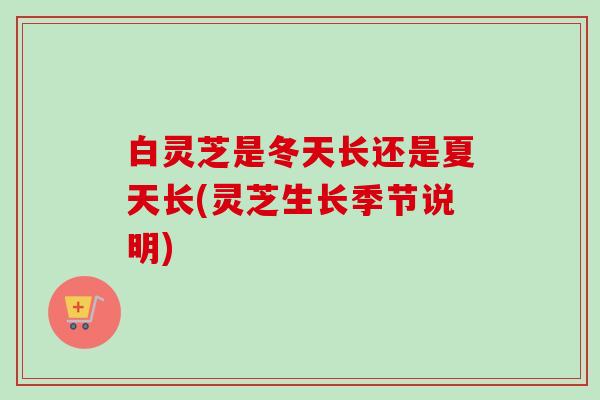 白灵芝是冬天长还是夏天长(灵芝生长季节说明)