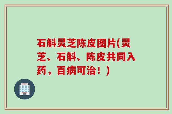 石斛灵芝陈皮图片(灵芝、石斛、陈皮共同入药，百病可治！)