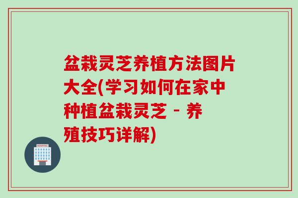 盆栽灵芝养植方法图片大全(学习如何在家中种植盆栽灵芝 - 养殖技巧详解)