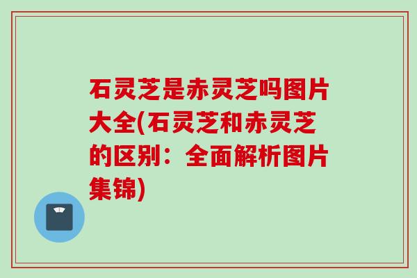 石灵芝是赤灵芝吗图片大全(石灵芝和赤灵芝的区别：全面解析图片集锦)