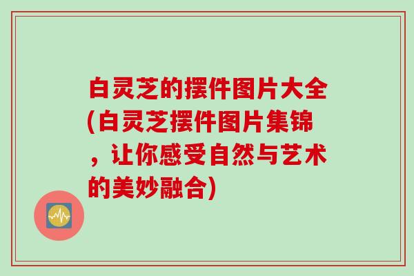 白灵芝的摆件图片大全(白灵芝摆件图片集锦，让你感受自然与艺术的美妙融合)