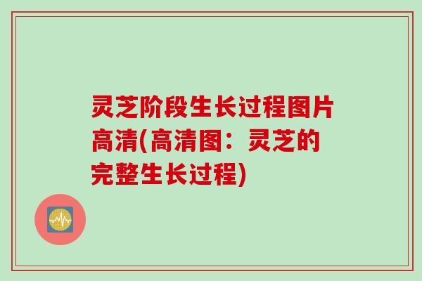 灵芝阶段生长过程图片高清(高清图：灵芝的完整生长过程)