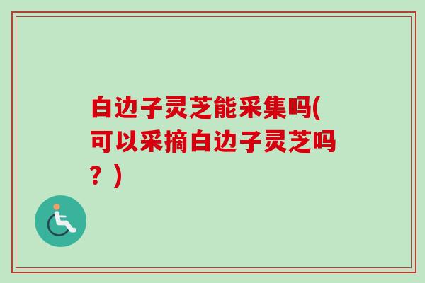 白边子灵芝能采集吗(可以采摘白边子灵芝吗？)