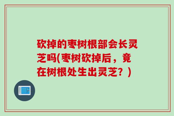 砍掉的枣树根部会长灵芝吗(枣树砍掉后,竟在树根处生出灵芝?) 砍掉的枣树根部会长灵芝吗(枣树砍掉后,竟在树根处生出灵芝?)
