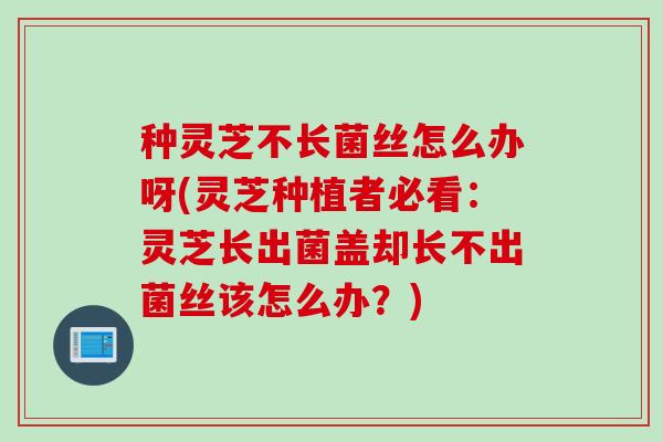 种灵芝不长菌丝怎么办呀(灵芝种植者必看：灵芝长出菌盖却长不出菌丝该怎么办？)