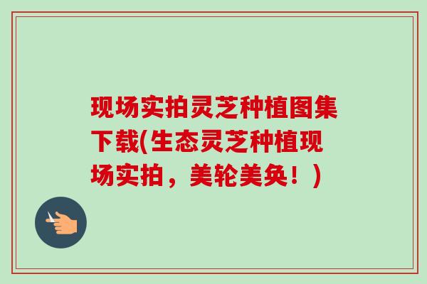 现场实拍灵芝种植图集下载(生态灵芝种植现场实拍，美轮美奂！)