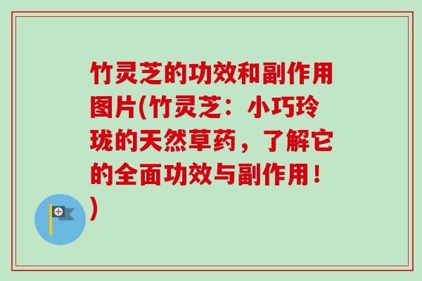 竹灵芝的功效和副作用图片(竹灵芝：小巧玲珑的天然草药，了解它的全面功效与副作用！)