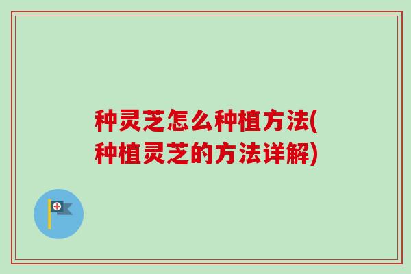 种灵芝怎么种植方法(种植灵芝的方法详解)