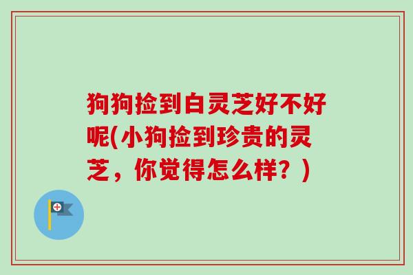 狗狗捡到白灵芝好不好呢(小狗捡到珍贵的灵芝，你觉得怎么样？)