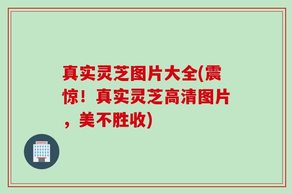 真实灵芝图片大全(震惊！真实灵芝高清图片，美不胜收)
