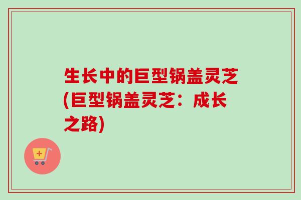 生长中的巨型锅盖灵芝(巨型锅盖灵芝：成长之路)