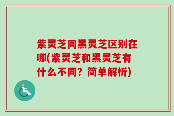 紫灵芝同黑灵芝区别在哪(紫灵芝和黑灵芝有什么不同？简单解析)