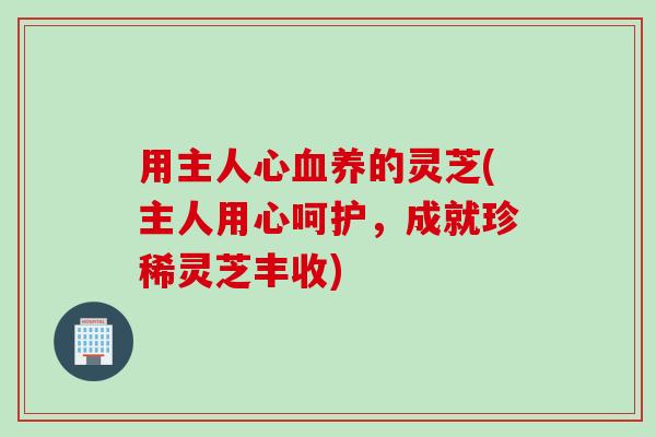 用主人心养的灵芝(主人用心呵护,成就珍稀灵芝丰收) 用主人心养的灵芝(主人用心呵护,成就珍稀灵芝丰收)