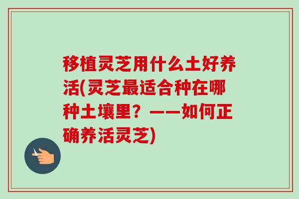 移植灵芝用什么土好养活(灵芝最适合种在哪种土壤里？——如何正确养活灵芝)