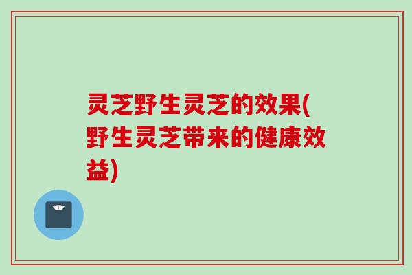 灵芝野生灵芝的效果(野生灵芝带来的健康效益)