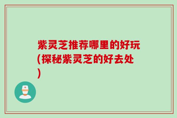 紫灵芝推荐哪里的好玩(探秘紫灵芝的好去处)