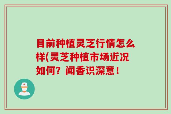 目前种植灵芝行情怎么样(灵芝种植市场近况如何？闻香识深意！