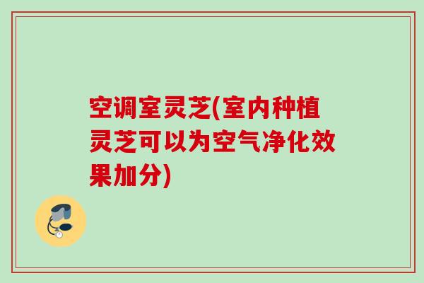 空调室灵芝(室内种植灵芝可以为空气净化效果加分)