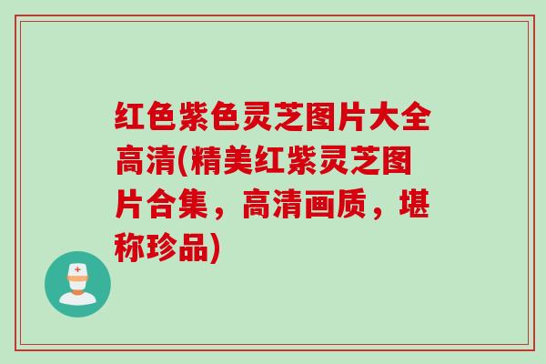 红色紫色灵芝图片大全高清(精美红紫灵芝图片合集，高清画质，堪称珍品)