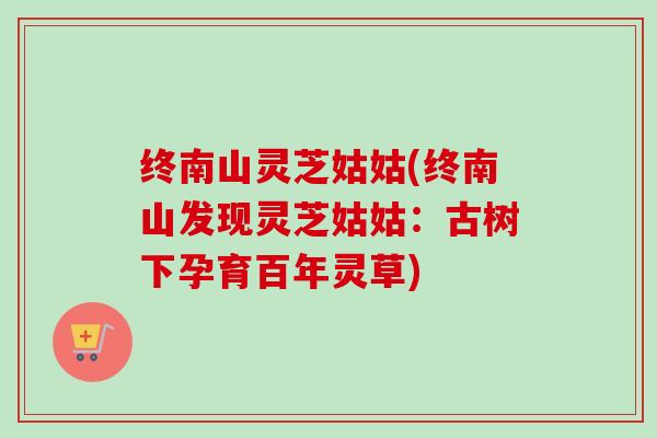 终南山灵芝姑姑(终南山发现灵芝姑姑：古树下孕育百年灵草)