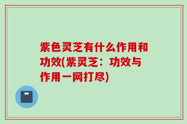 紫色灵芝有什么作用和功效(紫灵芝:功效与作用一网打尽) 紫色灵芝有什么作用和功效(紫灵芝:功效与作用一网打尽)