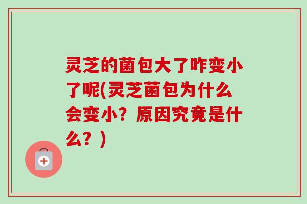 灵芝的菌包大了咋变小了呢(灵芝菌包为什么会变小？原因究竟是什么？)