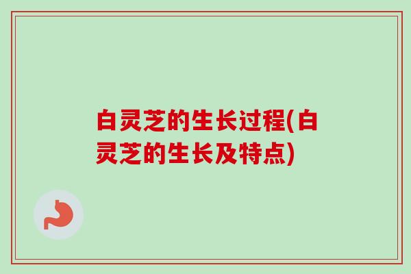 白灵芝的生长过程(白灵芝的生长及特点)