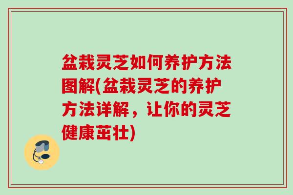 盆栽灵芝如何养护方法图解(盆栽灵芝的养护方法详解，让你的灵芝健康茁壮)