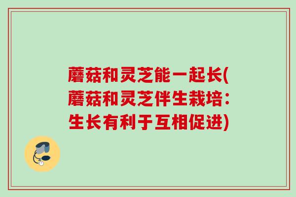蘑菇和灵芝能一起长(蘑菇和灵芝伴生栽培：生长有利于互相促进)