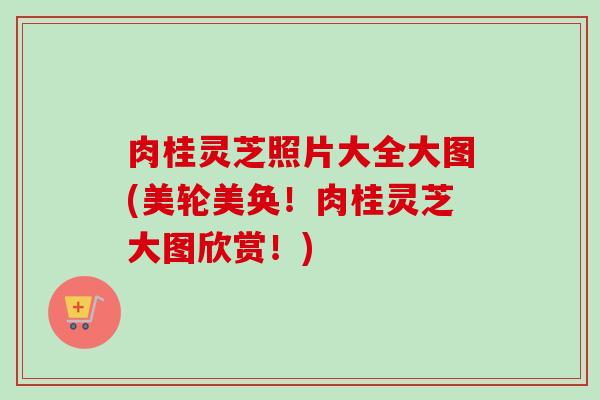 肉桂灵芝照片大全大图(美轮美奂！肉桂灵芝大图欣赏！)