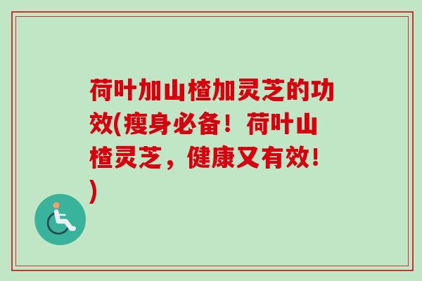 荷叶加山楂加灵芝的功效(瘦身必备！荷叶山楂灵芝，健康又有效！)