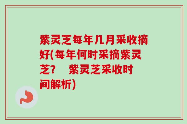 紫灵芝每年几月采收摘好(每年何时采摘紫灵芝？  紫灵芝采收时间解析)