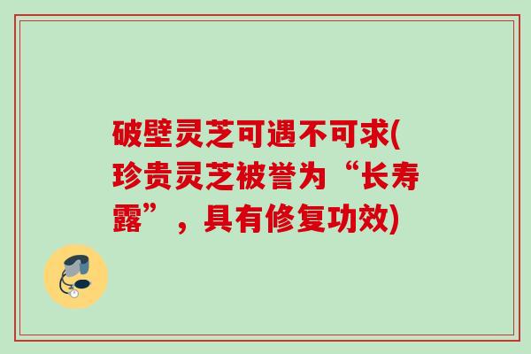破壁灵芝可遇不可求(珍贵灵芝被誉为“长寿露”,具有修复功效) 破壁灵芝可遇不可求(珍贵灵芝被誉为“长寿露”,具有修复功效)