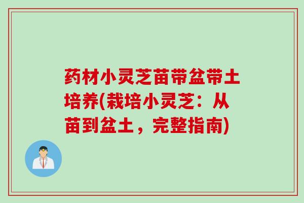 药材小灵芝苗带盆带土培养(栽培小灵芝：从苗到盆土，完整指南)