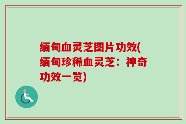 缅甸灵芝图片功效(缅甸珍稀灵芝:神奇功效一览) 缅甸灵芝图片功效(缅甸珍稀灵芝:神奇功效一览)
