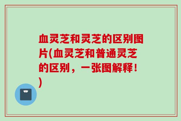 灵芝和灵芝的区别图片(灵芝和普通灵芝的区别,一张图解释!) 灵芝和灵芝的区别图片(灵芝和普通灵芝的区别,一张图解释!)