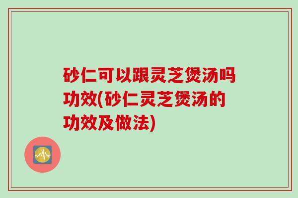 砂仁可以跟灵芝煲汤吗功效(砂仁灵芝煲汤的功效及做法)