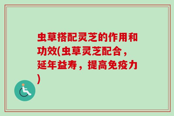 虫草搭配灵芝的作用和功效(虫草灵芝配合，延年益寿，提高免疫力)