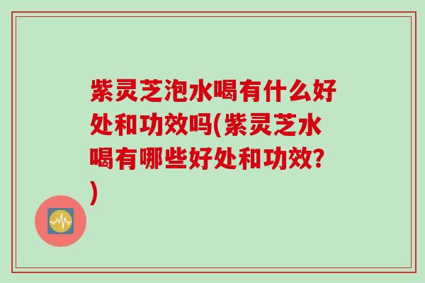 紫灵芝泡水喝有什么好处和功效吗(紫灵芝水喝有哪些好处和功效？)
