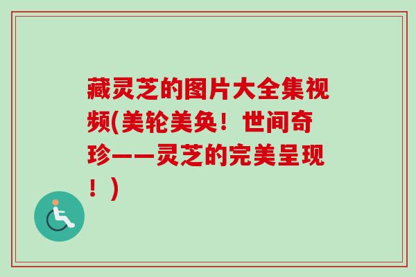 藏灵芝的图片大全集视频(美轮美奂!世间奇珍——灵芝的完美呈现!) 藏灵芝的图片大全集视频(美轮美奂!世间奇珍——灵芝的完美呈现!)