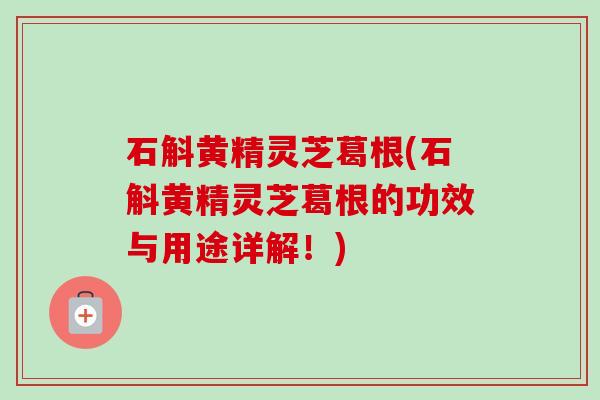 石斛黄精灵芝葛根(石斛黄精灵芝葛根的功效与用途详解！)