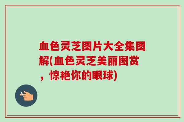 血色灵芝图片大全集图解(血色灵芝美丽图赏，惊艳你的眼球)