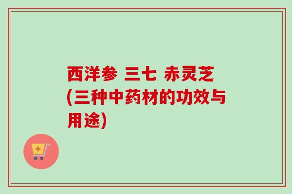 西洋参 三七 赤灵芝(三种材的功效与用途) 西洋参 三七 赤灵芝(三种材的功效与用途)