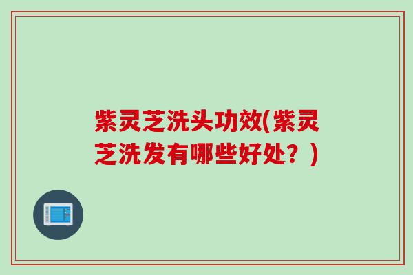 紫灵芝洗头功效(紫灵芝洗发有哪些好处？)