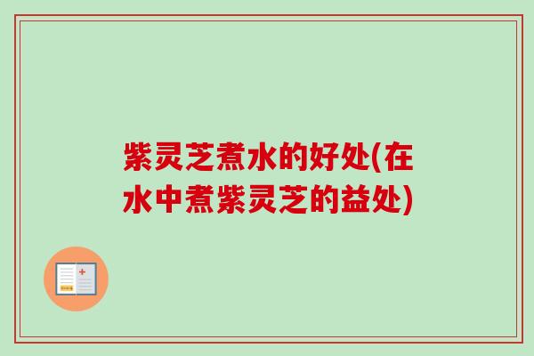 紫灵芝煮水的好处(在水中煮紫灵芝的益处)